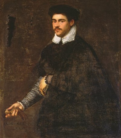 Ritratto di un giovane uomo da Jacopo Robusti Tintoretto